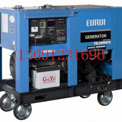 进口柴油发电机TDL26000TE