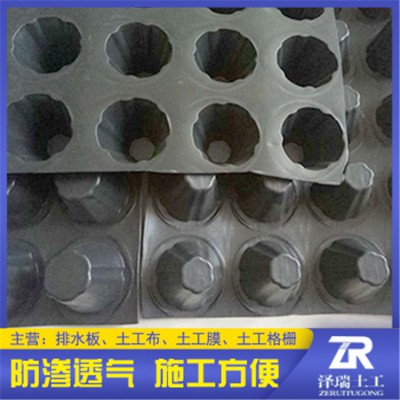 排水板阻根板疏水板型号规格