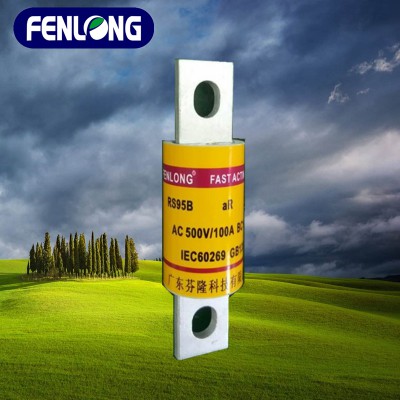 RO30A熔断器订做-FENLONG品牌