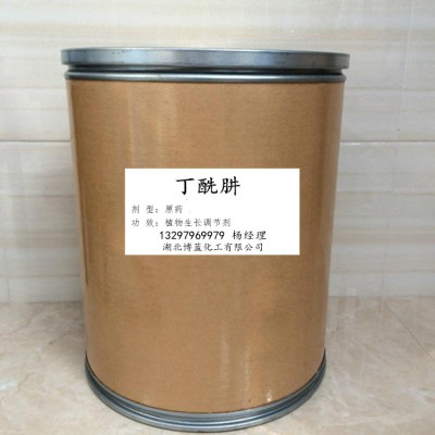 丁酰肼生产厂家 丁酰肼原药
