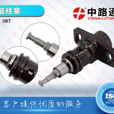 公交车柱塞IW7柱塞生产厂家