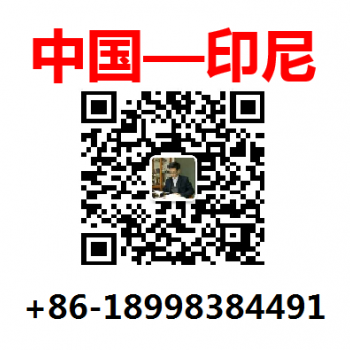 海运-中国-印尼包税双清到门