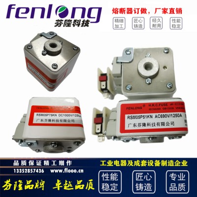 RS8半导体平板式快速熔断器订做-芬隆品牌