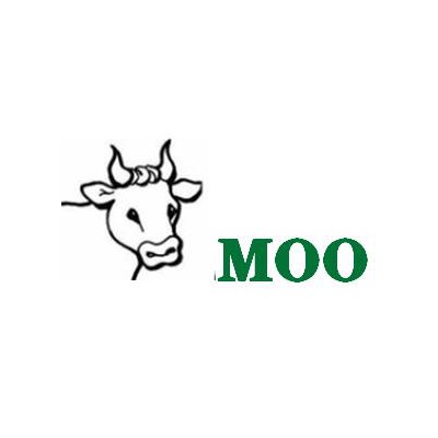 MOO艾姆欧•卡特CAT滤清器型谱