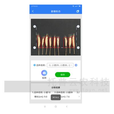 麦穗形态测量仪(自动测量),快速、简便