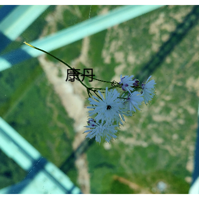 北京私募保壳300万的费用大概在多少几天可以完成