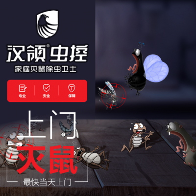 杭州除虫灭蟑螂 杭州单位抓老鼠 杭州抓蟑螂