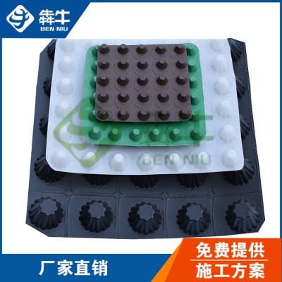 安阳市hdpe隧道排水板型号齐全
