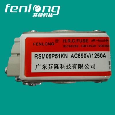 RSM02P51KN快速熔断器订做-FENLONG芬隆品牌