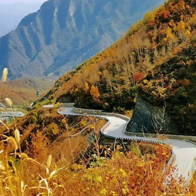 购买山东不良资产处置公司执照的渠道和流程