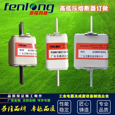 RO39方管刀形熔断器-芬隆品牌