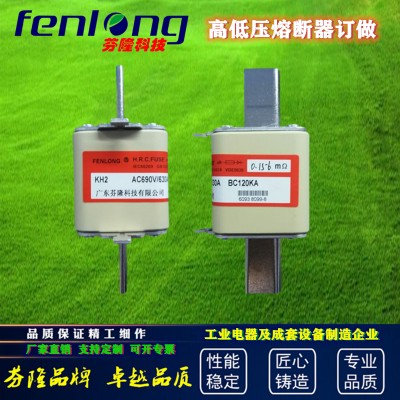 NGT2/NGTC2方管熔断器-芬隆品牌