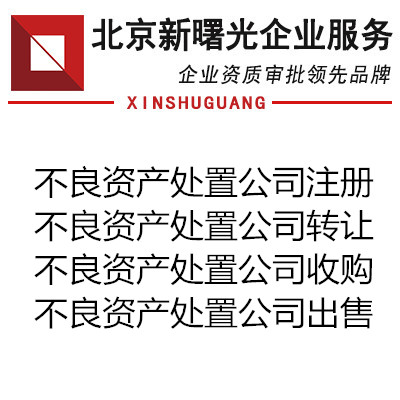 申请不良资产处置公司条件