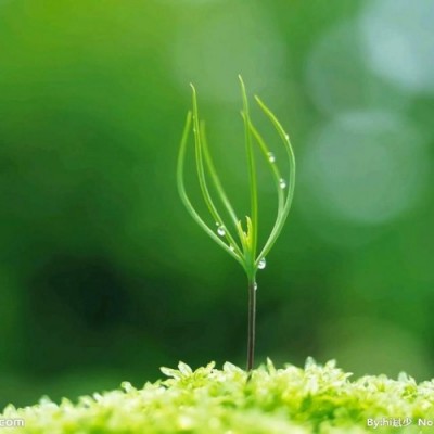 一手渠道办理北京普通车号升京A纯数字办不成全额退款