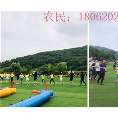那个位置公司团建大家为何喜欢来，看完你就知道了