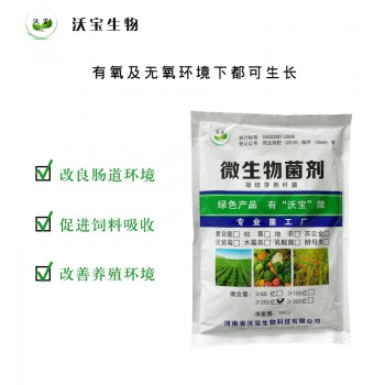 凝结芽孢杆菌降低肠道pH值促进吸收养殖饲料添加菌抑制有害菌