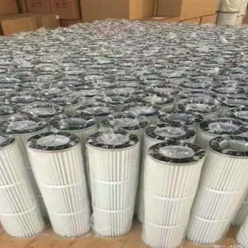 抛丸机耐高温阻燃除尘滤芯