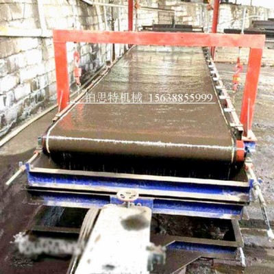 巩义铂思特含铜金精矿氰化炭吸附提金工艺，毛毯机回收金尾矿