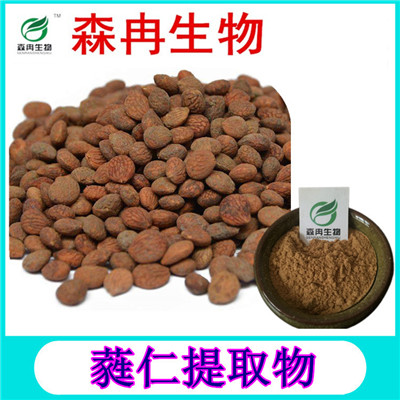 森冉生物 蕤仁提取物  扁核木提取物 植物提取原料