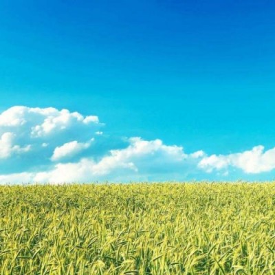 代理注册青岛资产管理公司一手渠道要的速度