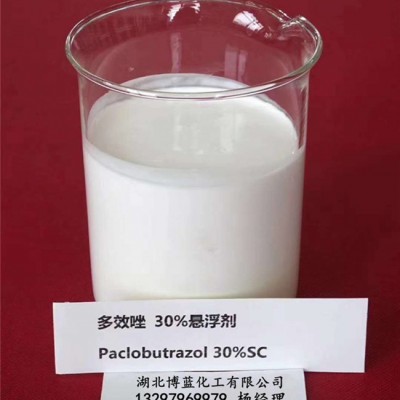 30%多效唑悬浮剂生产厂家  花卉控梢
