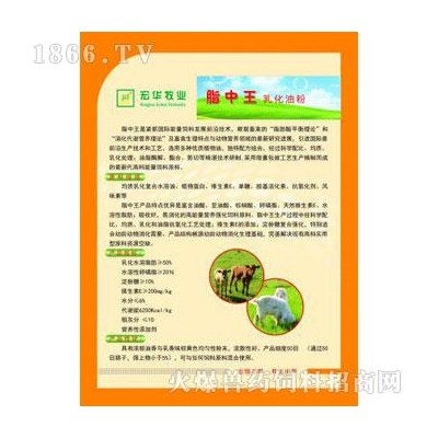 脂中王乳化油粉