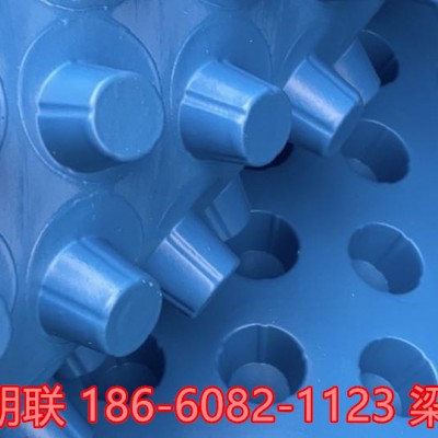 大同塑料排水板生产供应商