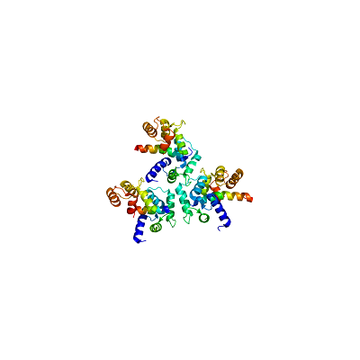 钙离子通道|药物筛选|靶点筛选服务|GPCR