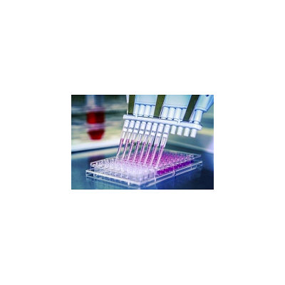 GPCR|激酶筛选服务|靶点筛选|离子通道服务|药物筛选