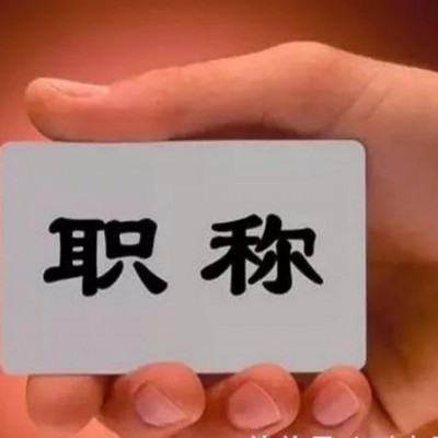 一起研究2o21年陕西省工程师职称代理的评审条件