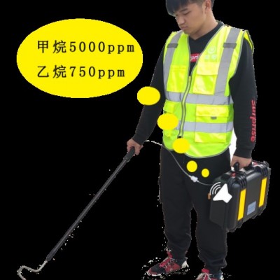C200系列激光甲烷乙烷检测仪