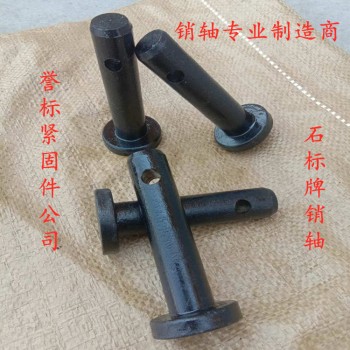 销轴生产厂家  10.9销轴用途