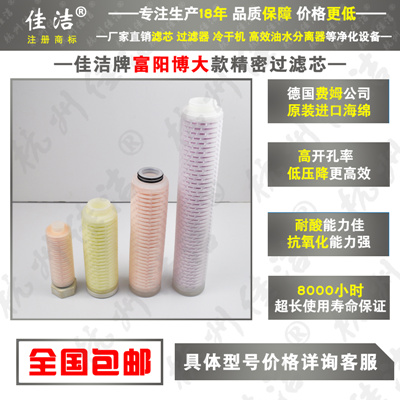 博大高效除油器滤芯FLY-20/8-C FLY-20/8-A