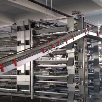 肉鸡养殖设备笼养设备鸡舍笼具山东金石农牧机械