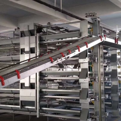 肉鸡养殖设备笼养设备鸡舍笼具山东金石农牧机械