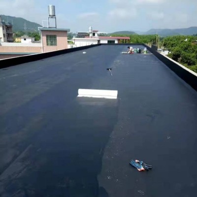 房屋建筑 新防水