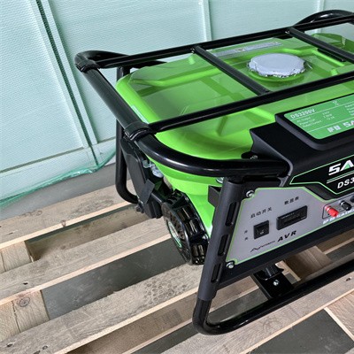 萨登DS3200V汽油发电机厂家