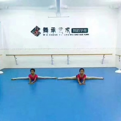 舞蹈室专业地胶 舞蹈房PVC塑胶地板 舞蹈教室地垫 防滑耐磨