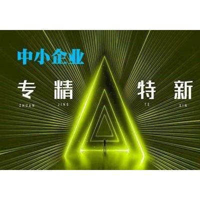 济南市企业申报专精特新的条件要求