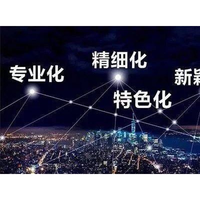 滨州市企业申报专精特新的专项指标要求