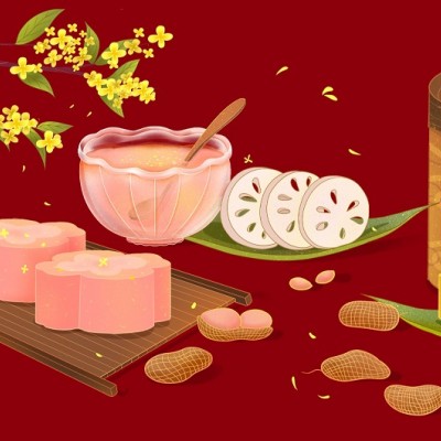 仟佰宠节后饮食指南，带肠胃走向正轨