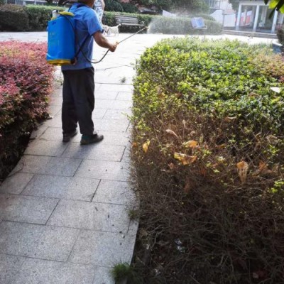 广州白云区新市家居除虫消毒上门杀蟑螂消杀公司电话