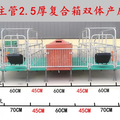 双体母猪产床 育保一体母猪产床生产厂家