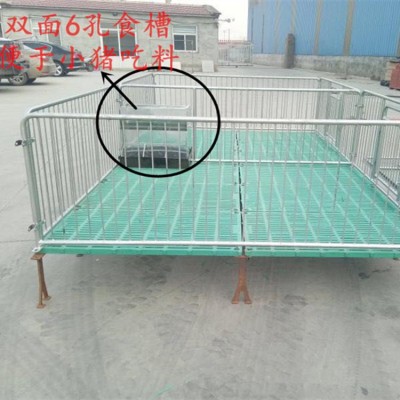 仔猪保育床  小猪用全复合保育床现货