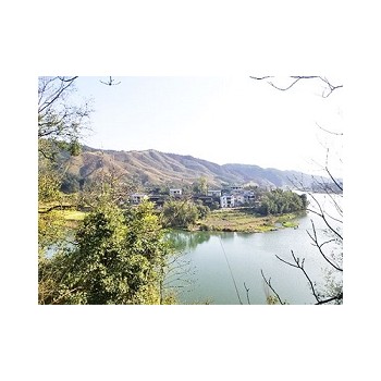 浙江众扶农业，湖州众扶发展，湖州茶园加盟，浙江茶山加盟
