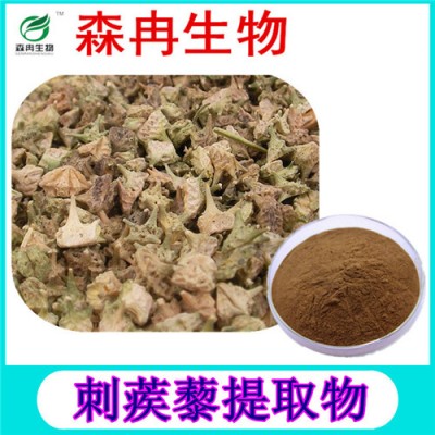 森冉生物 刺蒺藜提取物 刺蒺藜皂甙 硬蒺藜提取物
