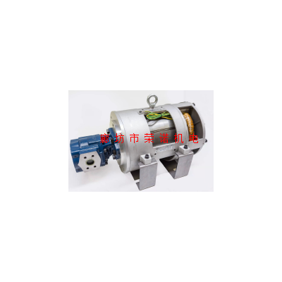SB油浸式电机 25KW 4级 SBBL4P301