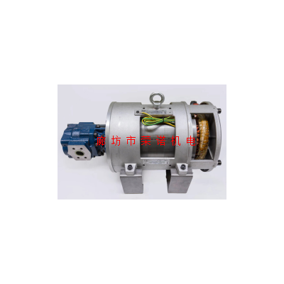 SB油浸式电机 18.5KW 4级 SBBL4P300