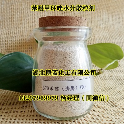 10%苯醚甲环唑水分散粒剂杀菌剂生产厂家