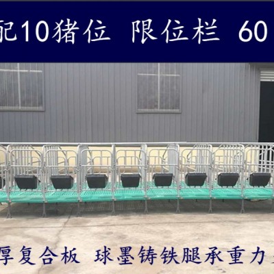 母猪限位栏  猪用全复合限位栏生产厂家